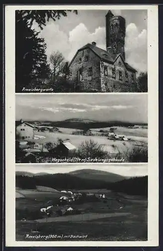 AK Oberkappel, Ameisberg, Gesamtansicht mit Bachwirt, Ameisbergwarte, Blick auf Wegscheid