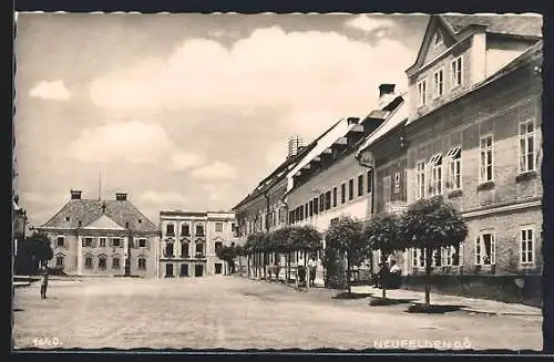 AK Neufelden /O. Ö., Strassenpartie mit Bäumen