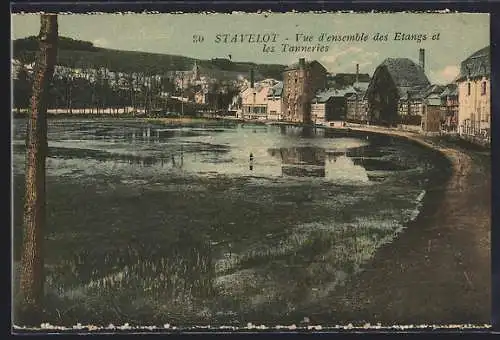 AK Stavelot, Vue d`ensemble des Etanges et les Tanneries