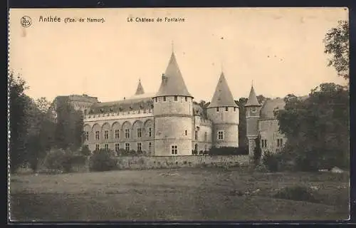 AK Anthée, Le Château de Fontaine