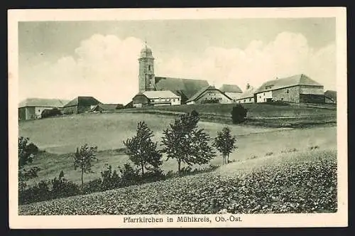 AK Mühlkreis /Ob.-Öst., Pfarrkirche mit Bäumen