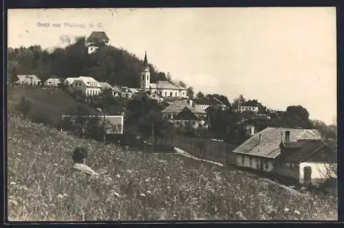 AK Wolfsegg /O. Ö., Teilansicht mit Kirche