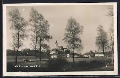 AK Wartberg a. d. Krems, Ortspartie mit Kirche