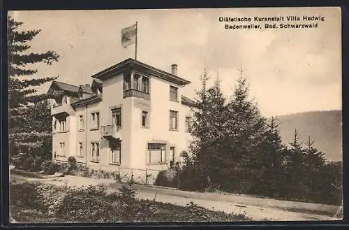 AK Badenweiler /Schwarzwald, Hotel Diätetische Kuranstalt Villa Hedwig mit Strasse