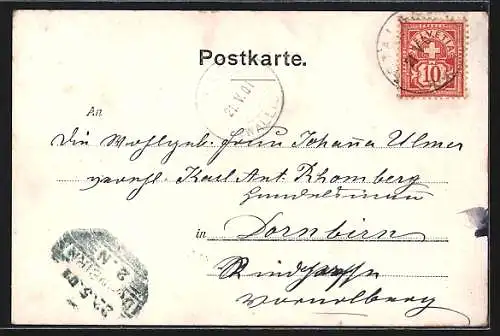 Künstler-AK Insel Reichenau, Münser mit Bürger-Compagnie