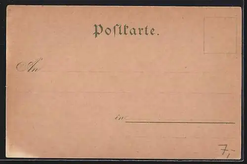 Lithographie Rostock, Ständehaus, Kaiserliches Postamt, Petrikirche