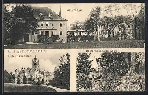 AK Hummelshain, Partie am Alten Schloss, Schloss Hummelshain, Hirschgruppe im Schlosspark