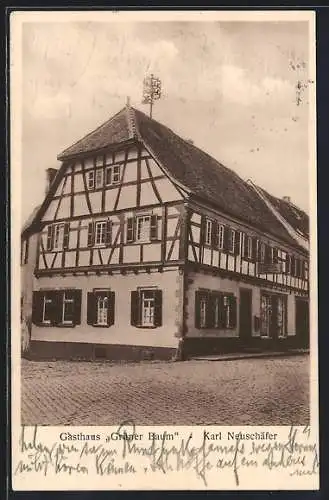 AK Freinsheim /Pfalz, Gasthaus Grüner Baum