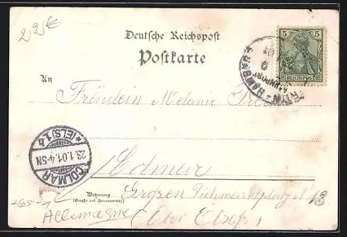 Lithographie Ludwigslust / M., Bahnhof, Schloss Rückseite, Luther-Kirche, kath. Kirche, gerahmt, mit Tannen und Blumen