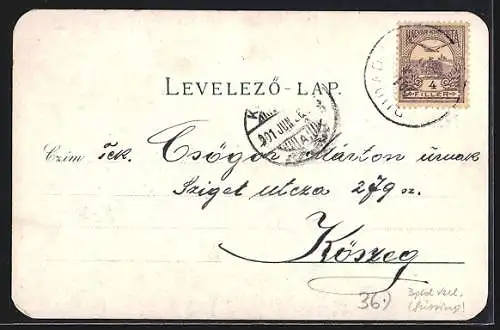 Lithographie Németujvár, Gróf Draskovich nyaralója, Szt. Ferenczrendü zárda, Gróf Bathyany Kastélya