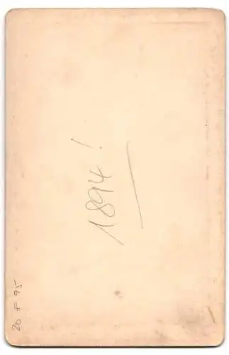 Fotografie F. Halbig, Miltenberg, Ansicht Miltenberg, Strasseneck am Hotel Riesen um 1894