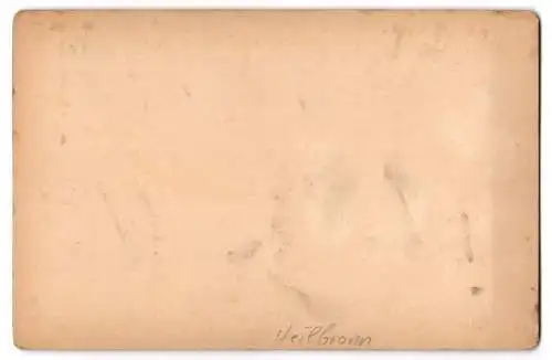 Fotografie Heinrich Schuler, Heilbronn, Ansicht Heilbronn, Harmonie, Gebäude mit Vorplatz und Denkmal 1892