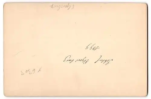 Fotografie Bernhard Hoffmann, Arnstadt, Ansicht Elgersburg, Schloss Elgersburg 1899