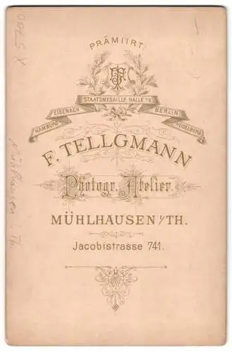 Fotografie F. Tellgmann, Mühlhausen, Ansicht Mühlhausen / Thüringen, Gefallenen-Denkmal um 1886