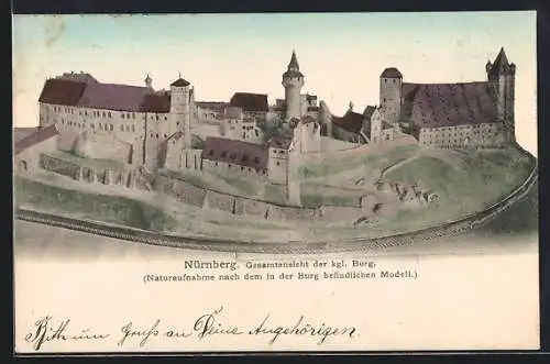 AK Nürnberg, Gesamtansicht der kgl. Burg