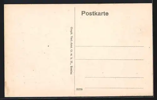 AK Hann.-Münden, Weserstein mit Dampfer