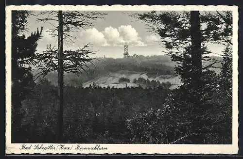 AK Bad Salzgitter /Harz, Bismarckturm aus der Ferne