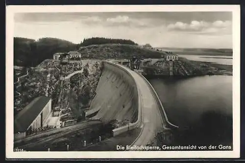 AK Saalburg / Saale, Bleilochsperre, Gesamtansicht von der Gans aus