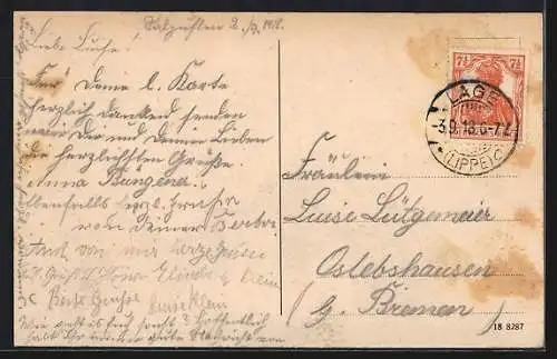 AK Bad Salzuflen, Fürstl. Kurhaus von einer Wiese aus