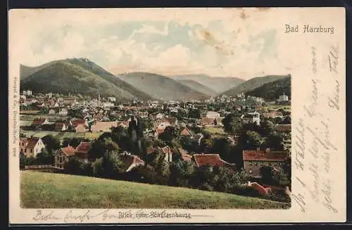 AK Bad Harzburg, Blick vom Schützenhause