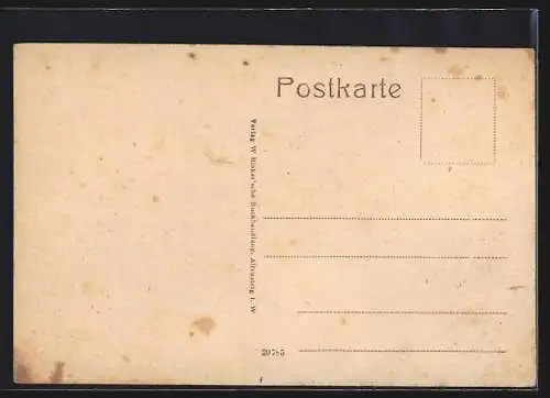 AK Altensteig, Totalansicht aus der Vogelschau