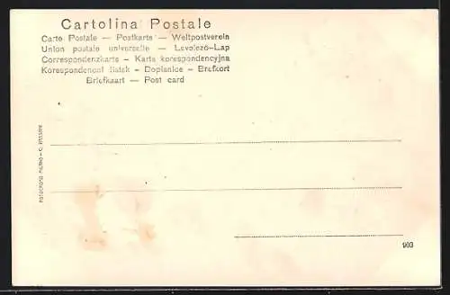 AK Tremezzo /Lago di Como, Ortsansicht mit Burgruine