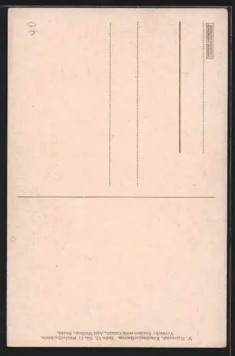 Künstler-AK sign.W. Hasemann: Frau mit Schleierhut im Seitenportrait