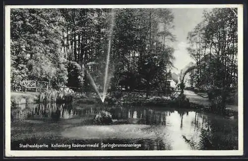 AK Radevormwald, Stadtwaldpartie Kollenberg, Springbrunnenanlage