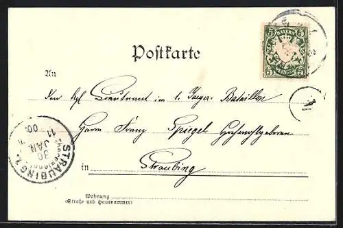 Künstler-AK Nürnberg, Burg von Westen, Wappen