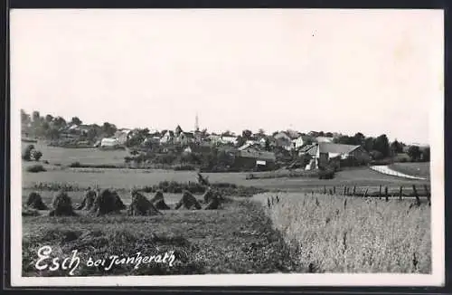 AK Esch bei Jünkerath, Blick über spätsommerliche Felder auf den Ort