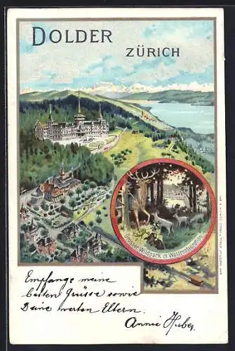 Lithographie Zürich, Grand Hotel Dolder, Grosser Wildpark mit Waldgasthaus, Bergbahn, Hirsch