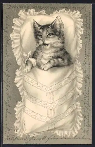 Lithographie Liegende Katze mit Pfotenverband in einem Baby-Bettchen