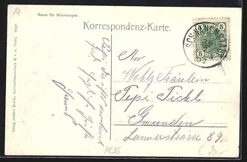 AK Schwanenstadt, Stadttor, Hauptplatz, Traunfall mit wilder Fallklause