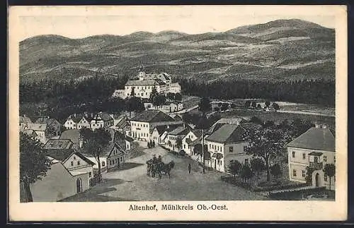 AK Altenhof im Mühlkreis, Gesamtansicht mit Kutsche