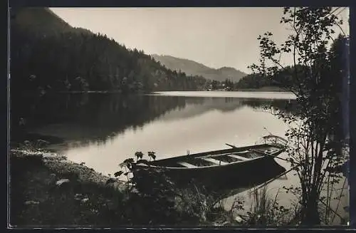 AK Nussensee, Panorama mit Boot