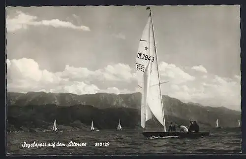 AK Attersee, Panorama mit Segelbooten