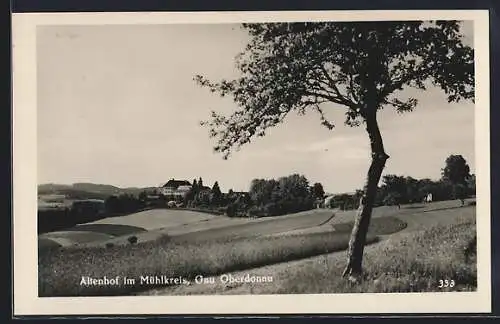 AK Altenhof im Mühlkreis, Ortspartie mit Baum