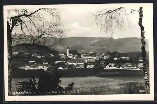 AK St. Veit im Mühlkreis, Teilansicht mit Kirche