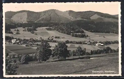 AK Oberaschau-Riedlbach, Panorama mit Bäumen