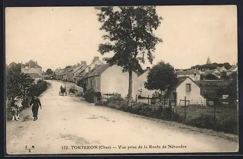 AK Torteron, Vue prise de la Route de Nérondes