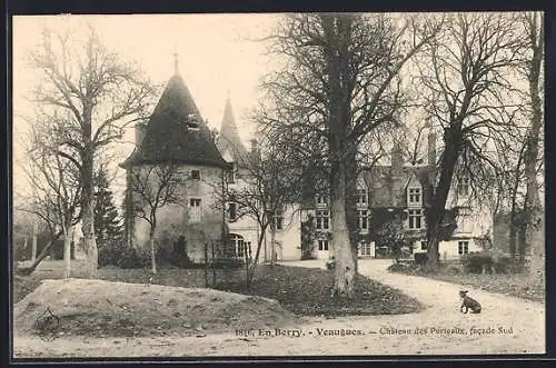 AK Veaugues, Château des Portesaux, facade Sud