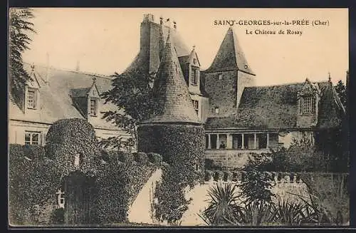 AK Saint-Georges-sur-la-Prée, Le Château de Rosay