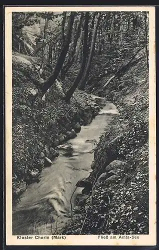 AK Chorin /Mark, Kloster, Fliess am Amts-See
