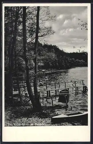 AK Stechlin, Stille Bucht im Stechlinsee