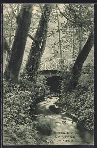 AK Freienwalde a. O., Papenbach am Kurhaus