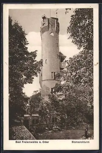 AK Bad Freienwalde a. Oder, am Bismarckturm