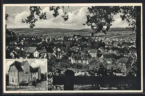 AK Erbach i. Odw., Gasthaus zur Wolfsschlucht, Teilansicht