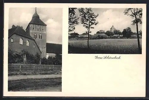 AK Gross Schönebeck, Kirche, Ortspartie