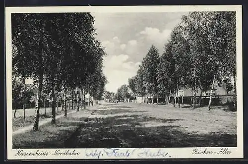 AK Nassenheide /Nordbahn, Birken-Allee