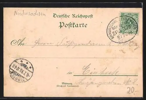Lithographie Seesen, Kur-Hotel, Bahnhof, Jacobsen-Schule